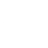 PlugSurfing logo